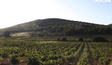 Με την Stelvio στο δικό μου Στέλβιο