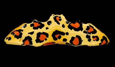 Βαρεθήκατε τις μονόχρωμες δαγκάνες φρένων;