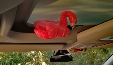 Πού κρύβεται το flamingo, στο Berlingo; 
