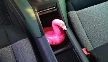Πού κρύβεται το flamingo, στο Berlingo; 
