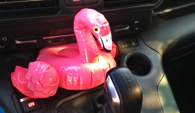 Πού κρύβεται το flamingo, στο Berlingo;