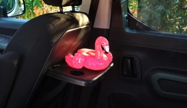 Πού κρύβεται το flamingo, στο Berlingo; 