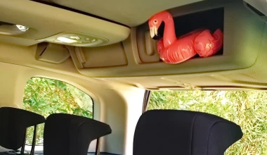 Πού κρύβεται το flamingo, στο Berlingo; 