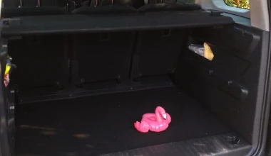 Πού κρύβεται το flamingo, στο Berlingo; 