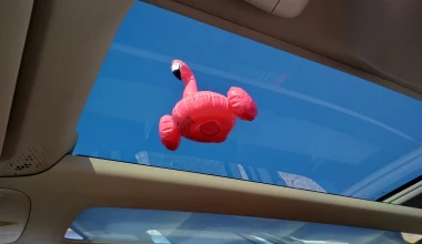 Πού κρύβεται το flamingo, στο Berlingo;