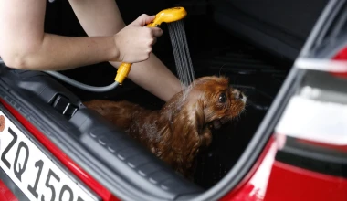 Ford Puma: Mega πρακτικότητα με το MegaBox