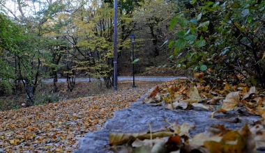 Road trip σε 4 Φθινοπωρινές διαδρομές με το Vector 4Seasons Gen-3 της Goodyear