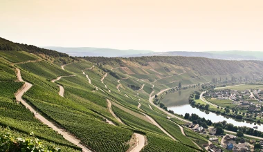 Ράλλυ χωρίς σκόνη γίνεται;