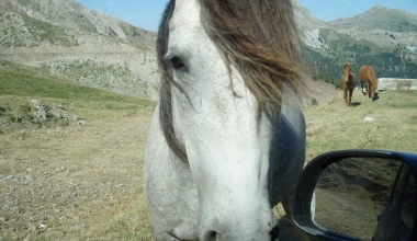 Διακοπές με Fiat Panda 4x4 1.3 MTJ