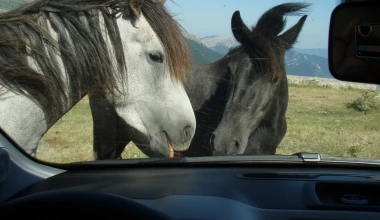 Διακοπές με Fiat Panda 4x4 1.3 MTJ