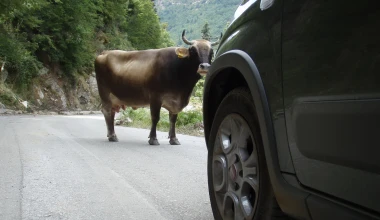 Διακοπές με Fiat Panda 4x4 1.3 MTJ