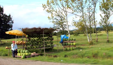 ROUTE 2012: Στο δρόμο της επιστροφής