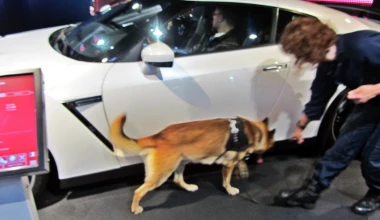 Άρωμα έκθεσης Παρισιού: Με (πολλές) εικόνες