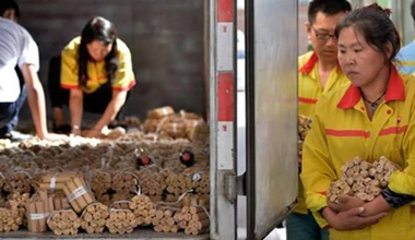 Αγόρασε νέο αυτοκίνητο με… κέρματα!