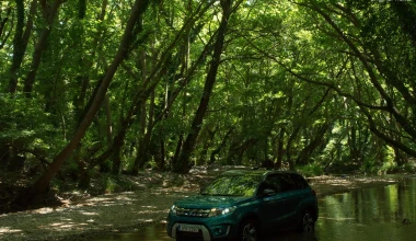 Suzuki Vitara 1.6 D 4x4 vs Suzuki V-STROM 1000     