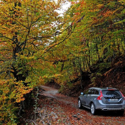 Road trip σε 4 Φθινοπωρινές διαδρομές με το Vector 4Seasons Gen-3 της Goodyear