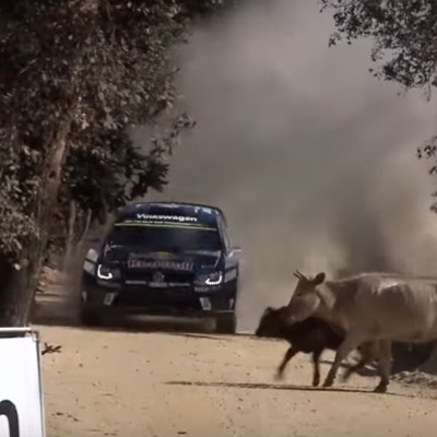 Επικό σώσιμο του S. Ogier (video)