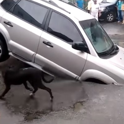 Άνοιξε η γη και τον κατάπιε (video)