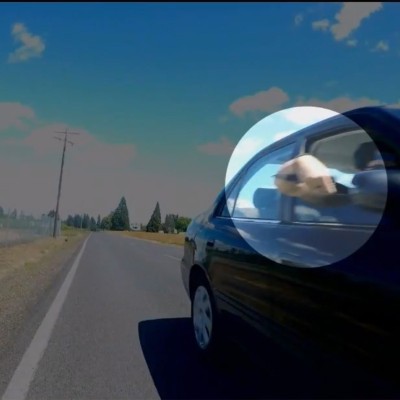 Συνοδηγός επιχειρεί να μαχαιρώσει ποδηλάτη! (video)