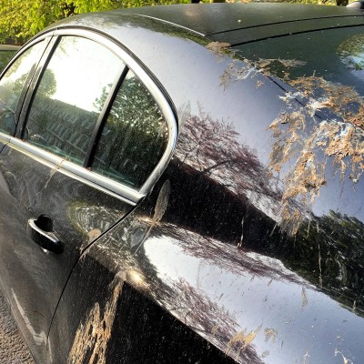 Η Ford νικάει... τις κουτσουλιές