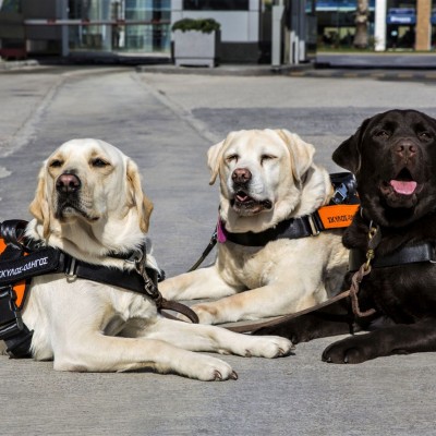 Ο Όμιλος Σαρακάκη φροντίζει όλους τους οδηγούς