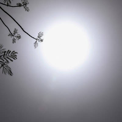 Καιρός: 40άρια από σήμερα και για τις επόμενες μέρες