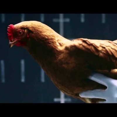 Γιατί μια κότα είχε κεντρικό ρόλο σε διαφήμιση της Mercedes-Benz; [video]