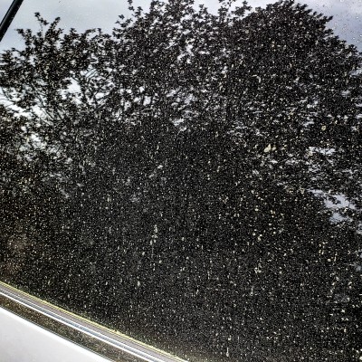 Γύρη στο αυτοκίνητο - Πώς θα την καθαρίσω;