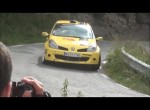 Rabbit chasing rally car