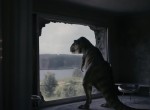 ‘The Comeback’ - Audi celebrates the return of the T-Rex