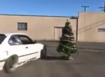 BMW Christmas Tree