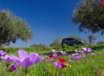 GOCAR TEST - Citroen C5 Aircross 1.5 BlueHDi