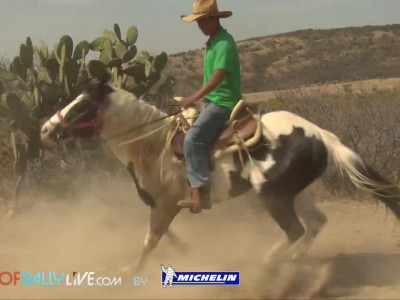 Highlights του WRC Μεξικού